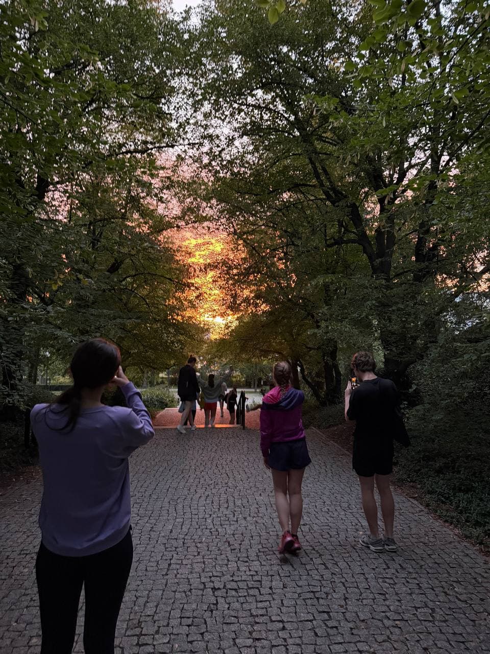 Runners walking through a tree-lined park path at sunset